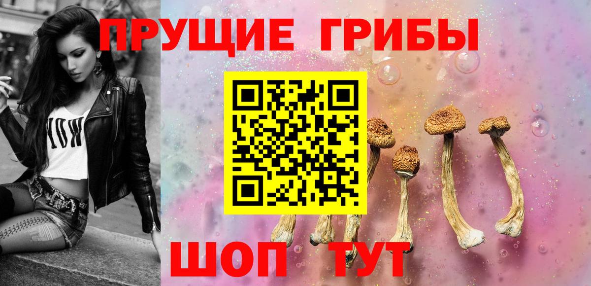 Барабинск  Псилоцибиновые грибы Psilocybine cubensis  Вход с VPN 